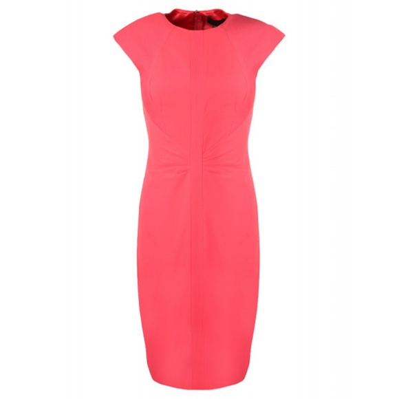 Ted Baker London Dresses & Skirts - Ted Baker Acerola Mesh Panel Pencil Skirt Dress